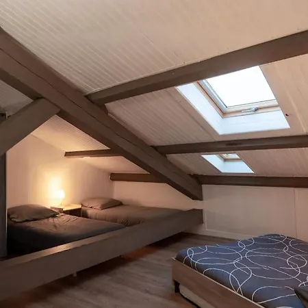 Luxe Centre A Cote Du Palais